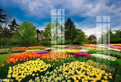 Tệp tin gốc File gốc in tranh tổng hợp Q6637 (dùng cho in) File gốc in tranh tổng hợp Q6637