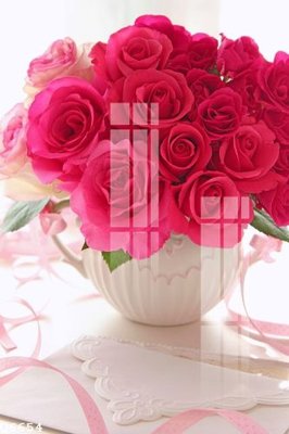 File in mica File gốc in tranh tổng hợp Q6654 (bản gốc) sắc sảo