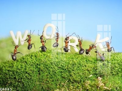 File tranh File gốc in tranh tổng hợp Q6661 (bản gốc) treo quán cafe