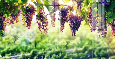 Tải file File gốc in tranh tổng hợp Q6766 (ảnh gốc) in gạch men