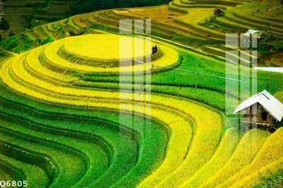 File tranh in mica File gốc in tranh tổng hợp Q6805 (độ phân giải cao)