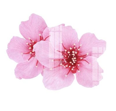 File PSD File gốc in tranh tổng hợp Q6846 (gốc) tách lớp chi tiết