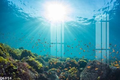 File gốc File gốc in tranh tổng hợp Q6856 (bản quyền) cho in ấn