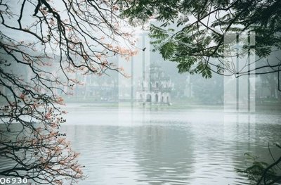 File tranh File gốc in tranh tổng hợp Q6930 (bản gốc) in lụa dán tường