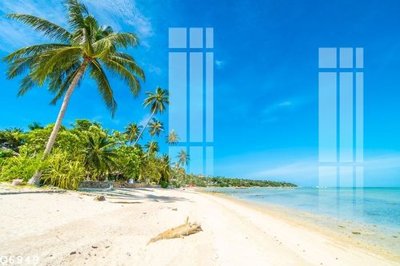 File in mica File gốc in tranh tổng hợp Q6949 (bản gốc) sắc sảo