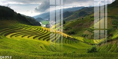 File gốc File gốc in tranh tổng hợp Q6952 (cho in UV) siêu nét