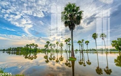 Mua file tranh gốc File gốc in tranh tổng hợp Q6955 tại Filetranh.com