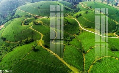 File tranh trang trí File gốc in tranh tổng hợp Q6969 (tải file gốc)