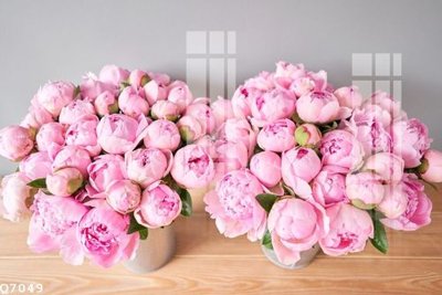 File ảnh File gốc in tranh tổng hợp Q7049 (gốc) in PP, decal