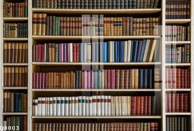 Tải file gốc File gốc in tranh tổng hợp Q8003 (in tráng gương) cao cấpFile gốc File gốc in tranh tổng hợp Q8003 (in ấn) phiên bản độc quyền