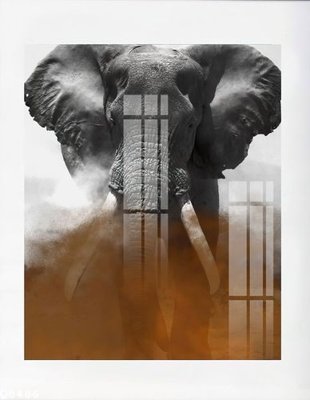 File tranh File gốc in tranh tổng hợp Q8486 (gốc) chủ đề trẻ em