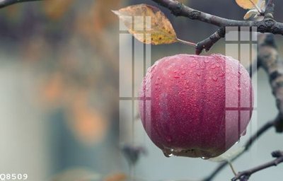 File tranh File gốc in tranh tổng hợp Q8509 (ảnh gốc) độc quyền