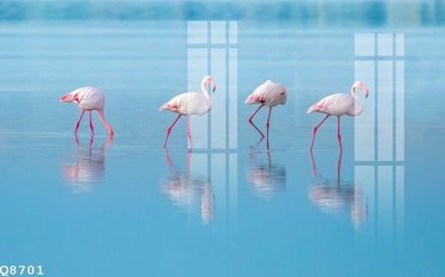 File gốc File gốc in tranh tổng hợp Q8701 (in tráng gương) nghệ thuật