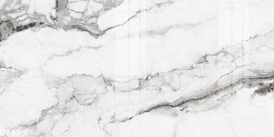 File tranh File gốc in tranh tổng hợp Q8879 (gốc) in backlit film