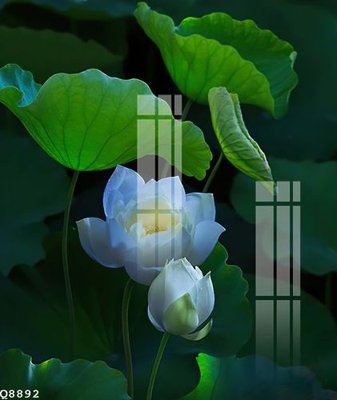 File tranh File gốc in tranh tổng hợp Q8892 (bản gốc) in lụa 3D