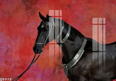 File in trần File gốc in tranh tổng hợp Q8979 (bản gốc) mây trời