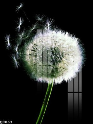 File gốc File gốc in tranh tổng hợp Q9063 (ảnh chi tiết) để in ấn