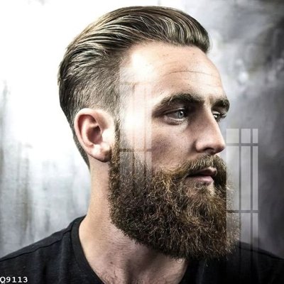 File tranh File gốc in tranh tổng hợp Q9113 (gốc) chủ đề động vật