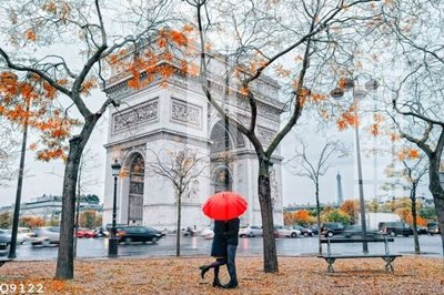 File tranh File gốc in tranh tổng hợp Q9122 (gốc) chủ đề động vật