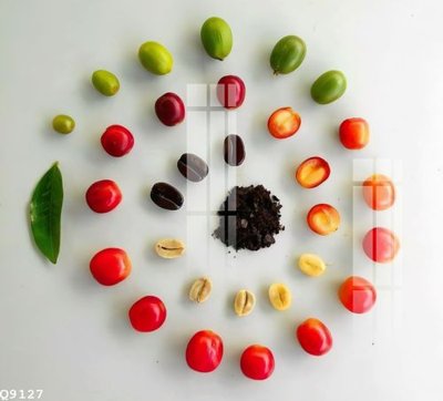 Download file File gốc in tranh tổng hợp Q9127 (gốc) cho xưởng in