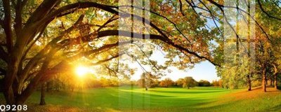 File tranh in tráng gương File gốc in tranh tổng hợp Q9208 (siêu nét)