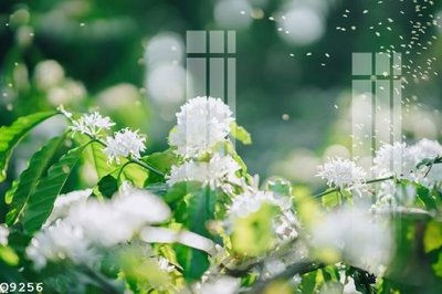 Tải file gốc File gốc in tranh tổng hợp Q9256 (in tráng gương) cao cấpFile gốc File gốc in tranh tổng hợp Q9256 (in ấn) phiên bản độc quyền