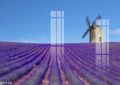 Hình ảnh file gốc in lụa File gốc in tranh tổng hợp Q9339