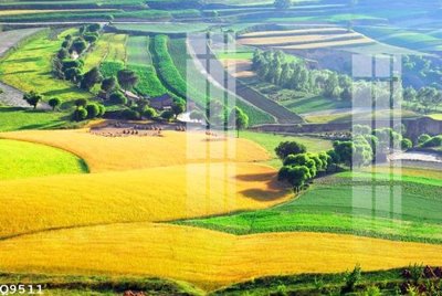 File in ấn cao cấp File gốc in tranh tổng hợp Q9511 (file gốc)