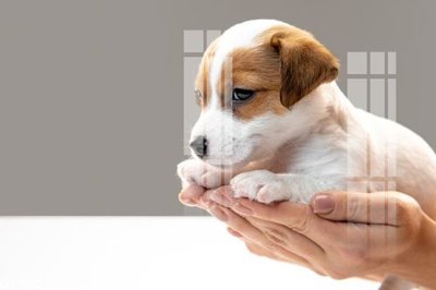 Download file File gốc in tranh tổng hợp Q9595 (gốc) in mica cao cấp