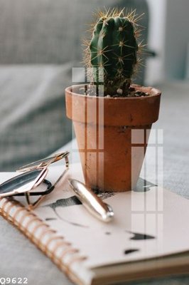 File tranh File gốc in tranh tổng hợp Q9622 (gốc) chủ đề động vật