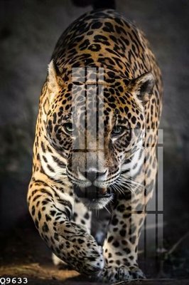 Tải file File gốc in tranh tổng hợp Q9633 (gốc) in ấn ngay lập tức