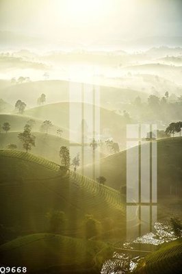 File gốc File gốc in tranh tổng hợp Q9668 (in lụa) cao cấp