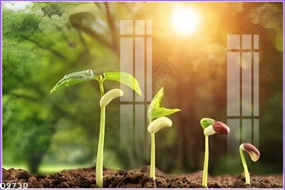 Tải file gốc in lụa File gốc in tranh tổng hợp Q9730 siêu nét