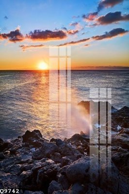 File in mica File gốc in tranh tổng hợp Q9742 (bản gốc) siêu trong