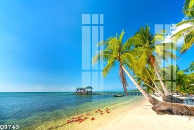 File gốc File gốc in tranh tổng hợp Q9743 (in tráng gương) ốp tường