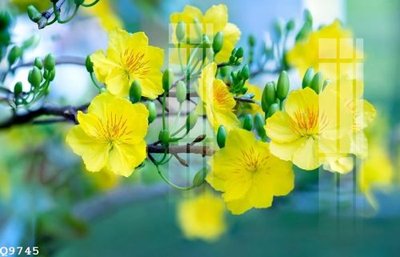 File in ấn File gốc in tranh tổng hợp Q9745 (bản gốc) cao cấp