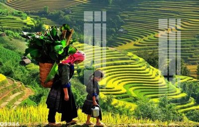 Hình ảnh file gốc File gốc in tranh tổng hợp Q9986 cho in UV