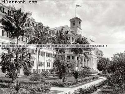 File gốc Royal Poinciana_ 1900 (chuẩn CMYK) cho nhà in