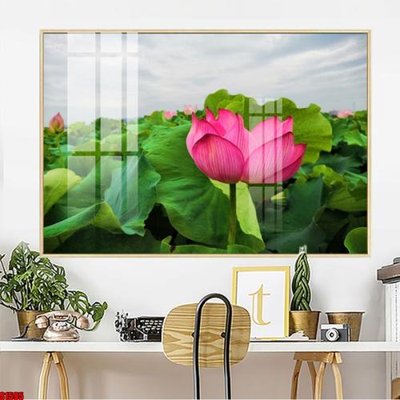 File in mica File tranh hoa sen S1595 (bản gốc) siêu trong