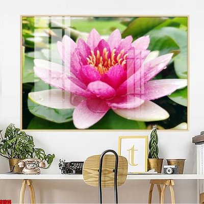 File tranh File tranh hoa sen S1614 (ảnh gốc) cho in ấn kỹ thuật số