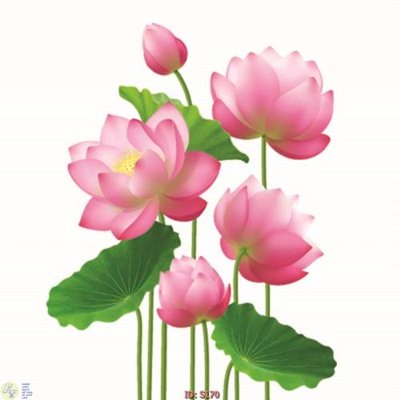 File in ấn Tranh cửu ngư quần hội sen cá S170 chuyên nghiệp