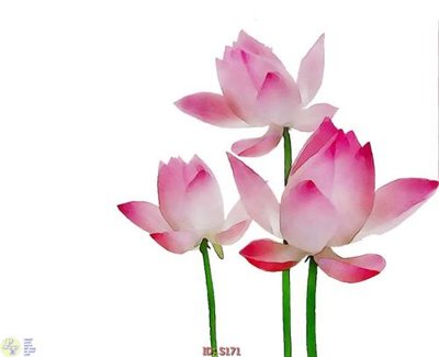 File gốc Tranh cửu ngư quần hội sen cá S171 (cho in ấn) độc quyền