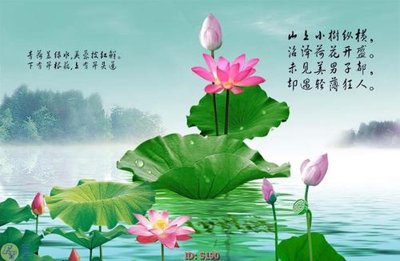 Download file gốc Tranh cửu ngư quần hội sen cá S190 (độ nét cao)