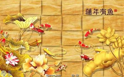 Mua file tranh gốc Tranh cửu ngư quần hội sen cá S2 tại Filetranh.com