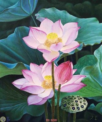 File tranh gốc Tranh cửu ngư quần hội sen cá S220 chủ đề hiện đại