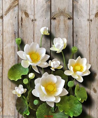 File tranh gốc in trần nhà Tranh cửu ngư quần hội sen cá S280 3D