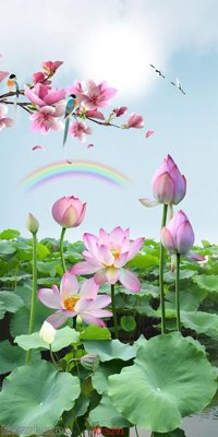 Download file Tranh cửu ngư quần hội sen cá S291 (chuẩn in) Tranh cửu ngư quần hội sen cá S291