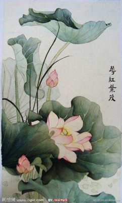 File tranh Tranh cửu ngư quần hội sen cá S293 (gốc) chủ đề trừu tượng