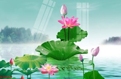 Tải file Tranh hoa sen cá cửu ngư quần hội S3067 (gốc) in tranh tráng gương