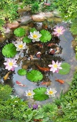 File ảnh Tranh cửu ngư quần hội sen cá S337 (gốc) cho trang trí nhà hàng